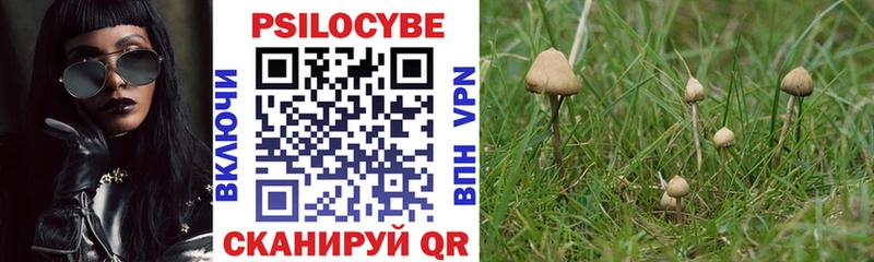 Купить  Фурманов  Галлюциногенные грибы Cubensis 